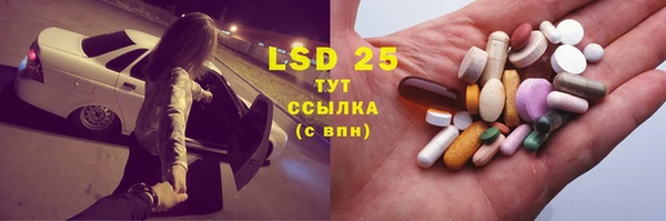 винт Аркадак