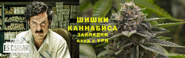 винт Аркадак