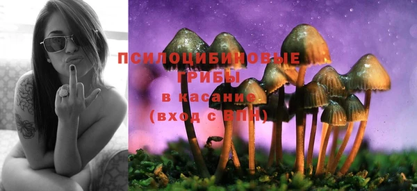 МДПВ Армянск