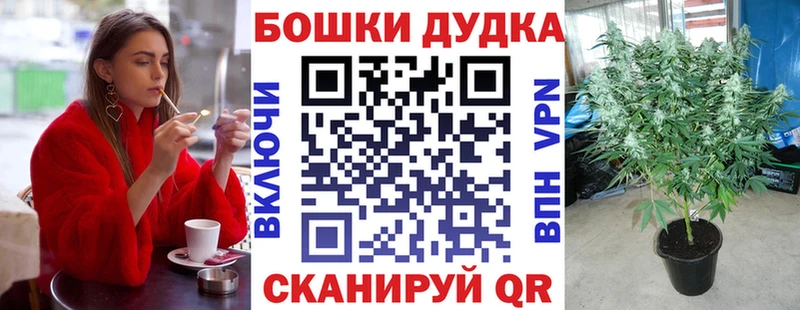 МАРИХУАНА план Белоярский